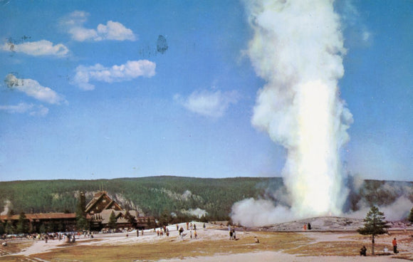 Old Faithful Geyser, Yellowstone Park - Carey's Emporium