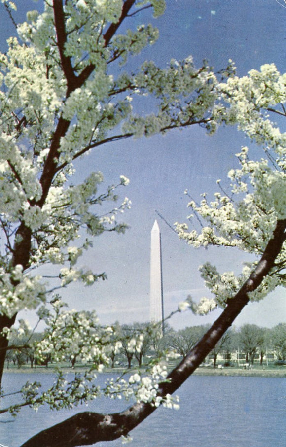 The Washington Monument, Washington, DC - Carey's Emporium