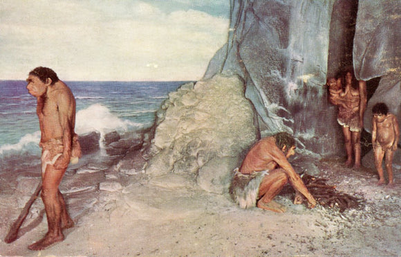 Chicago Natural History Museum, formerly Field Museum of Natural History, Chicago, IL - Carey's Emporium