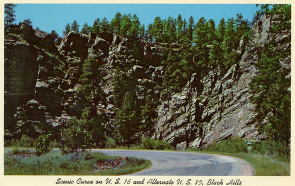 Scenic Curve on U. S. 16 and Alternate U. S. 85, Black Hills, SD - Carey's Emporium