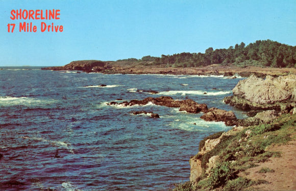 Shoreline, 17 Mile Drive, Pacific Grove, CA - Carey's Emporium