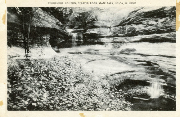 Horseshoe Canyon, Starved Rock State Park, Utica, IL - Carey's Emporium