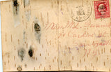 Birch Bark Wooden Postcard - Carey's Emporium