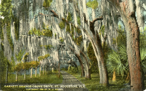 Garnett Orange Grove Drive, St. Augustine, FL - Carey's Emporium