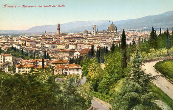 Panorama dai Viali dei Colli, Firenze - Carey's Emporium
