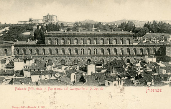 Palazzo Pitti visio in Panorama dal Campanile di S. Spirito, Firenze - Carey's Emporium