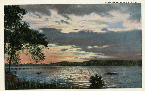 View Near Alpena, MI - Carey's Emporium