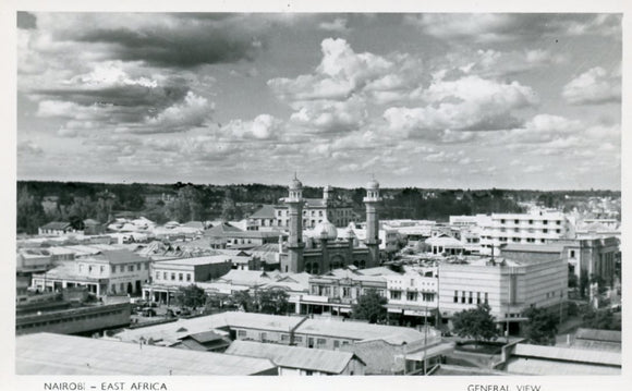 General View, Niarobim East Africa - Carey's Emporium
