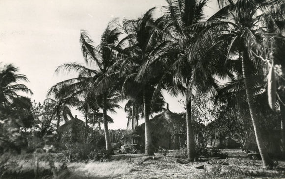Cases sous les Cocotiers, Senegal - Carey's Emporium