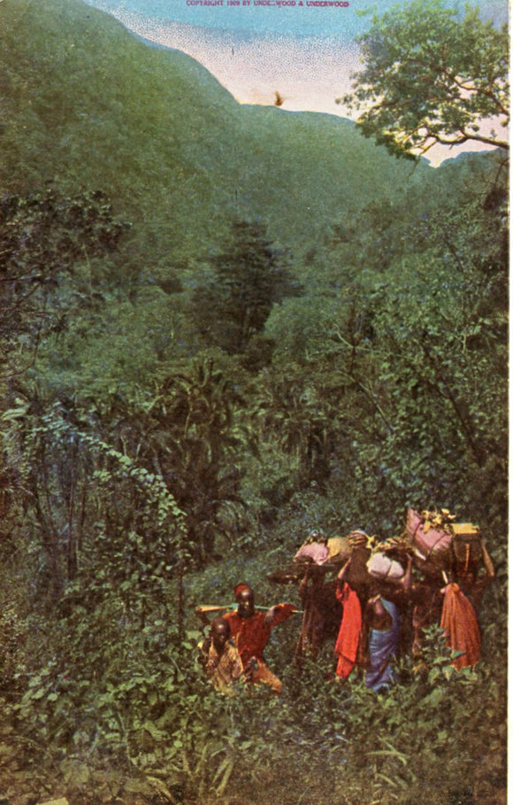 Climbing Mt. Kilimanjaro - Carey's Emporium