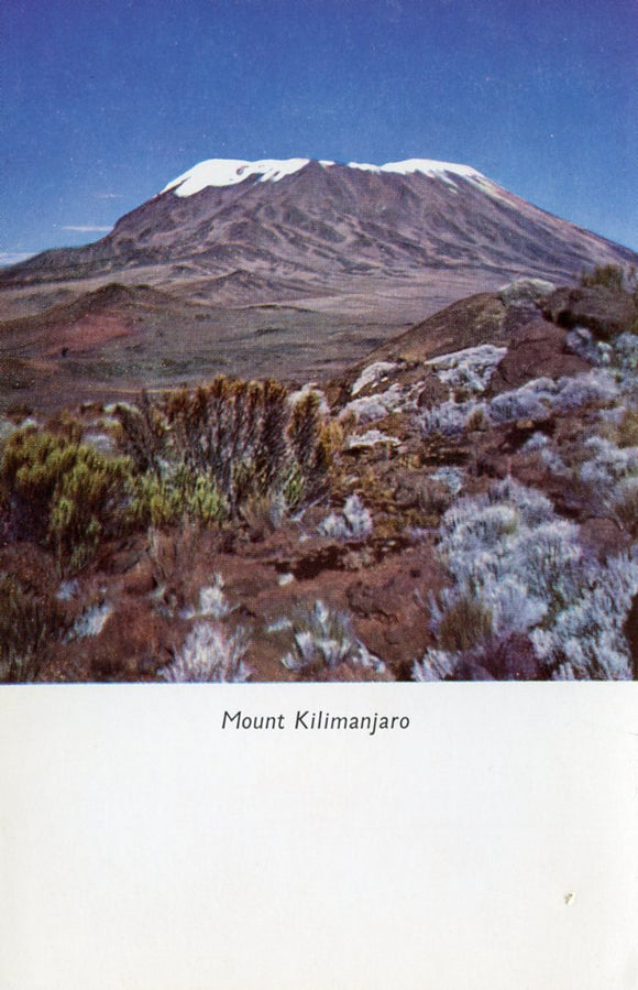 Mount Kilimanjaro - Carey's Emporium