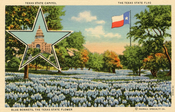 The Texas State Capitol, the Texas State Flag, Blue Bonnets, the Texas State Flower - Carey's Emporium