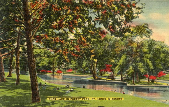 Duck Lake in Forest Park, St. Louis, MO - Carey's Emporium