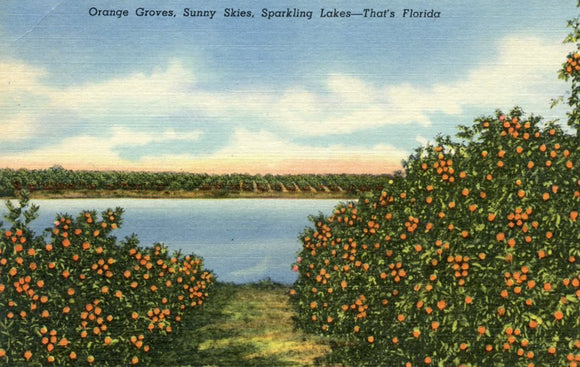 Orange Groves, Sunny Skies, Sparkling Lakes, That's Florida - Carey's Emporium