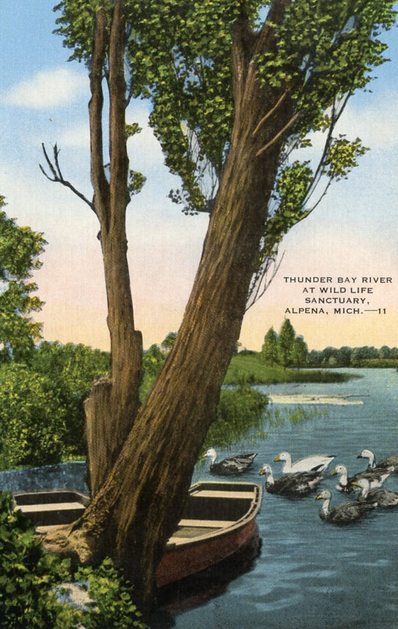 Thunder Bay River at Wild Life Sanctuary, Alpena, MI - Carey's Emporium