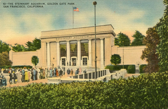 The Steinhart Aquarium, Golden Gate Park, San Francisco, CA - Carey's Emporium