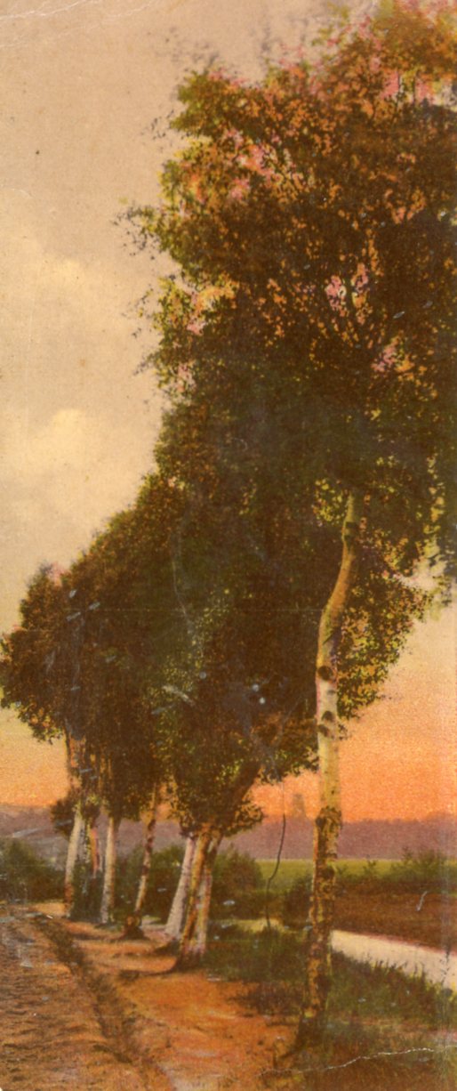 Leroy, MN - Carey's Emporium