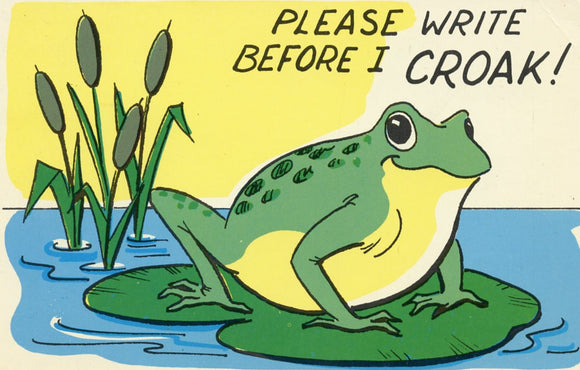 Please Write Before I Croak! - Carey's Emporium