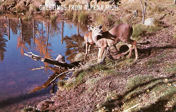 Greetings from Alpena, MI - Carey's Emporium