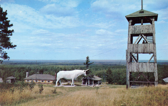 Look Out Hill, Alpena, MI - Carey's Emporium