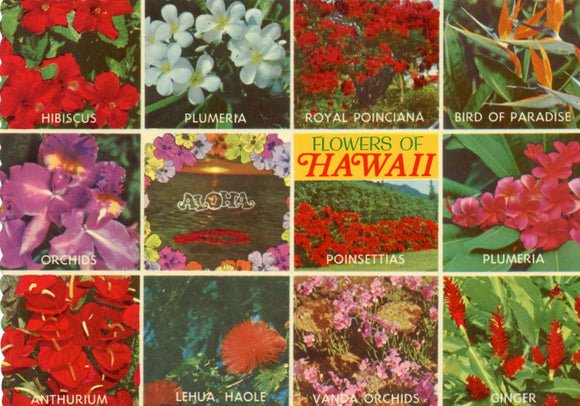 Flowers of Hawaii - Carey's Emporium