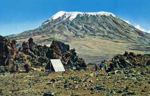 Mt. Kilimanjaro - Carey's Emporium