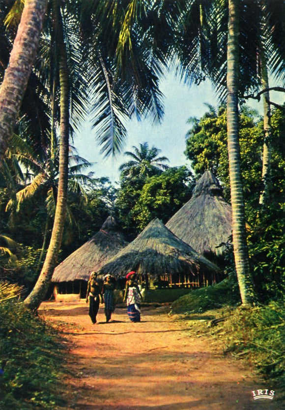 Village Under the Palm-trees - Carey's Emporium