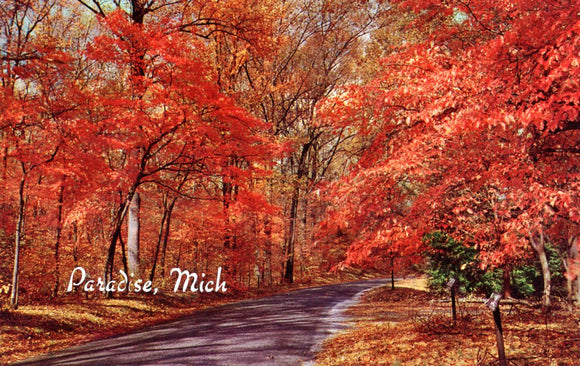 Autumn Leaves, Paradise, MI - Carey's Emporium