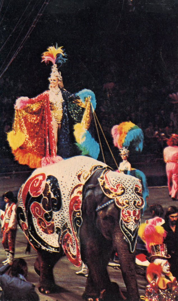 Glamour Abounds - Carey's Emporium