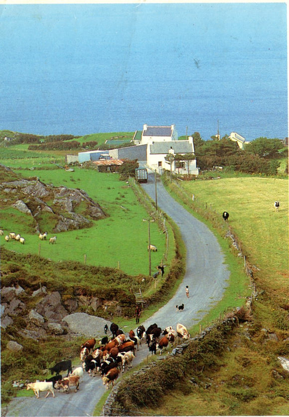 On the Road, West Cork - Carey's Emporium