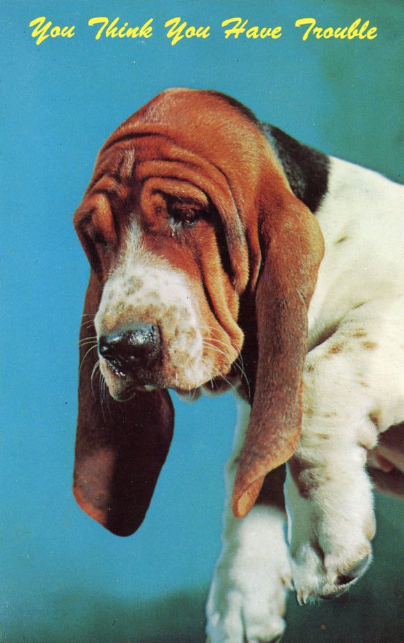 You Think You Have Trouble (Basset Hound) - Carey's Emporium