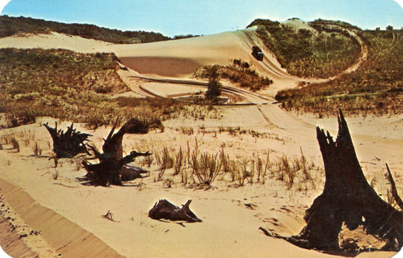 Dune Schooners, Saugatuck, MI - Carey's Emporium