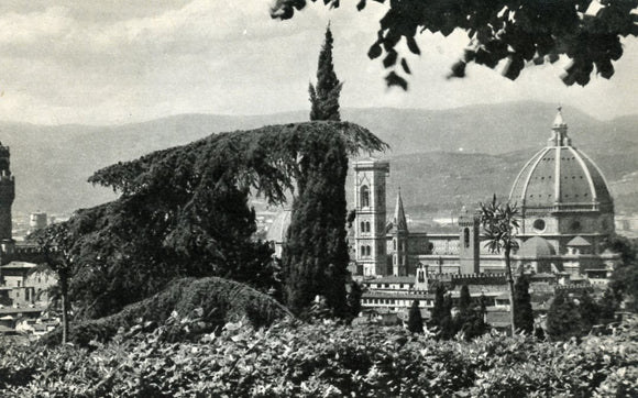 Pittoresca, Firenze - Carey's Emporium