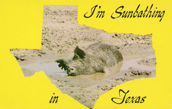 I'm Sunbathing in Texas