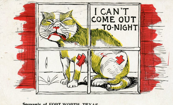 I Can't Come Out To-Night, Souvenir of Fort Worth, TX