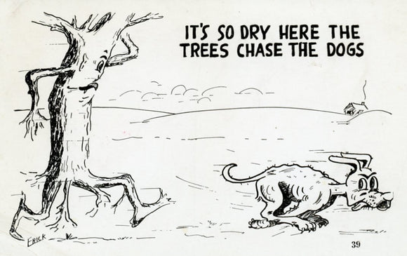 It's So Dry Here the Trees Chase the Dogs