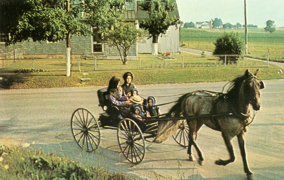 Greetings, From The Amish Country
