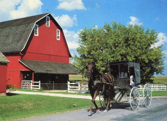 Amish Buggy and Red Barn from The Kalone Heritage, Amish and Mennonite Culture