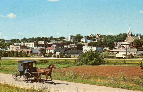 Amish Buggy at New Glarus, WI