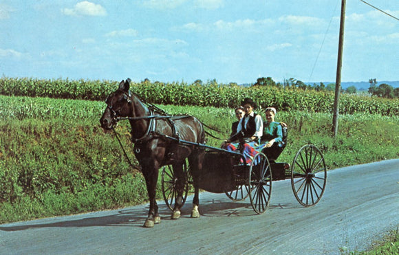 Greetings From The Amish Country