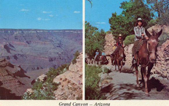 Grand Canyon, Arizona