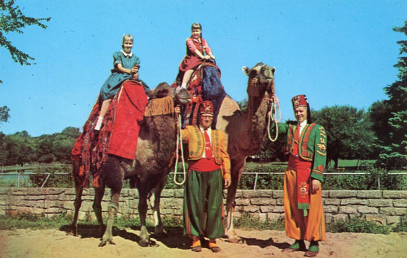 Camel Rides in Vilas Park, Madison, WI