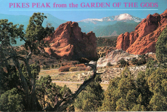 Pikes Peak from the Garden of the Gods, CO - Carey's Emporium