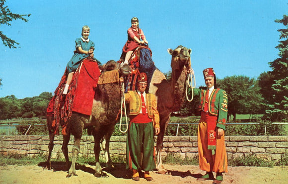 Camel Rides in Vilas Park, Madison, WI - Carey's Emporium