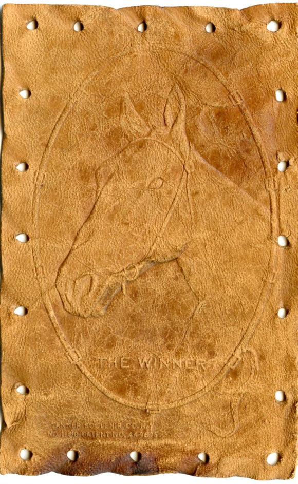 The Winner - Carey's Emporium