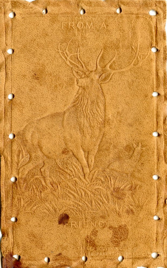 From a Deer Friend - Carey's Emporium