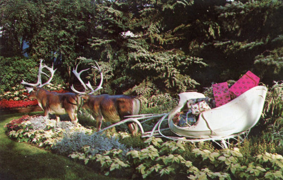 Christmas Show, Santa's Sleigh and Reindeer, Mitchell Park Horticultural Conservatory, Milwaukee, WI - Carey's Emporium