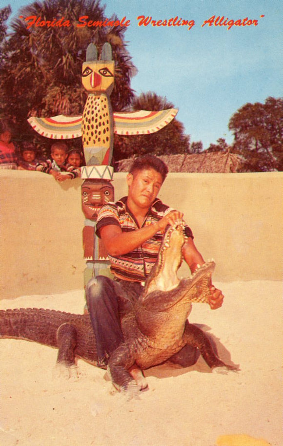 Florida Seminole Wrestling Alligator - Carey's Emporium