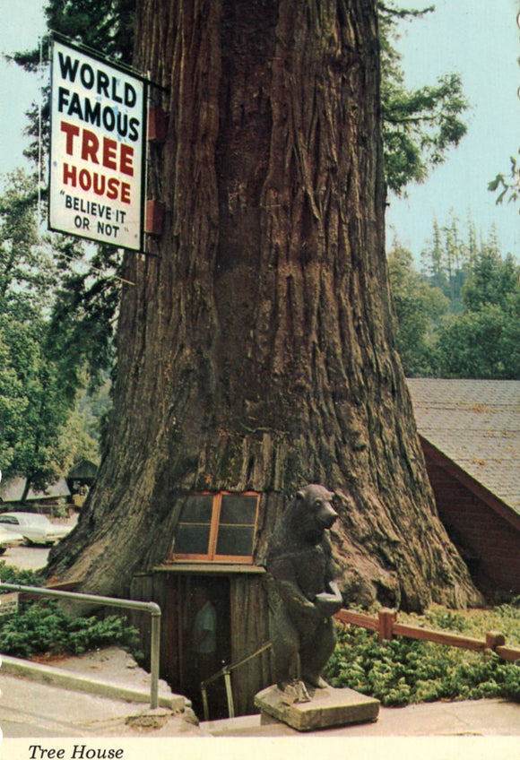 Tree House, Piercy, CA - Carey's Emporium