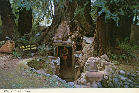 Eternal Tree House, Redcrest, CA - Carey's Emporium